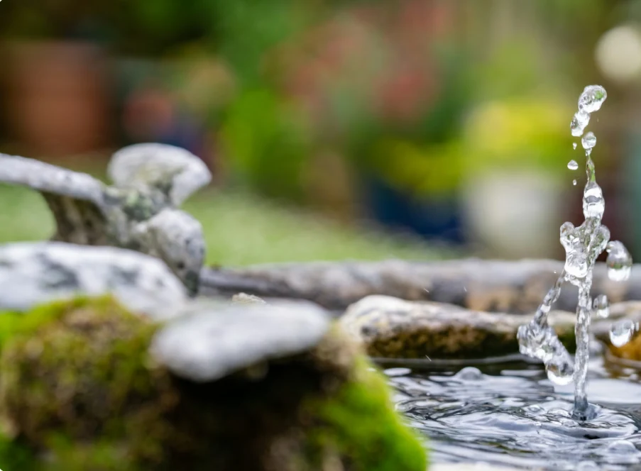 Fountain & Water Feature Leak Detection inspection detail
